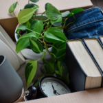 Decluttering: A Powerful Tool for Reducing Anxiety